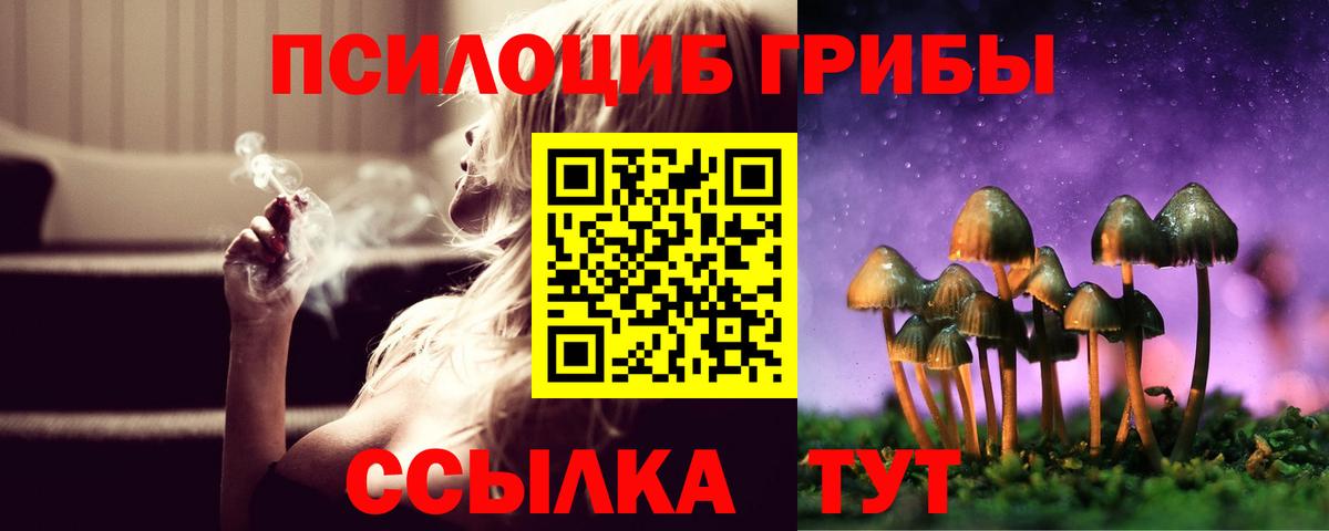 Псилоцибиновые грибы Psilocybine cubensis Слободской